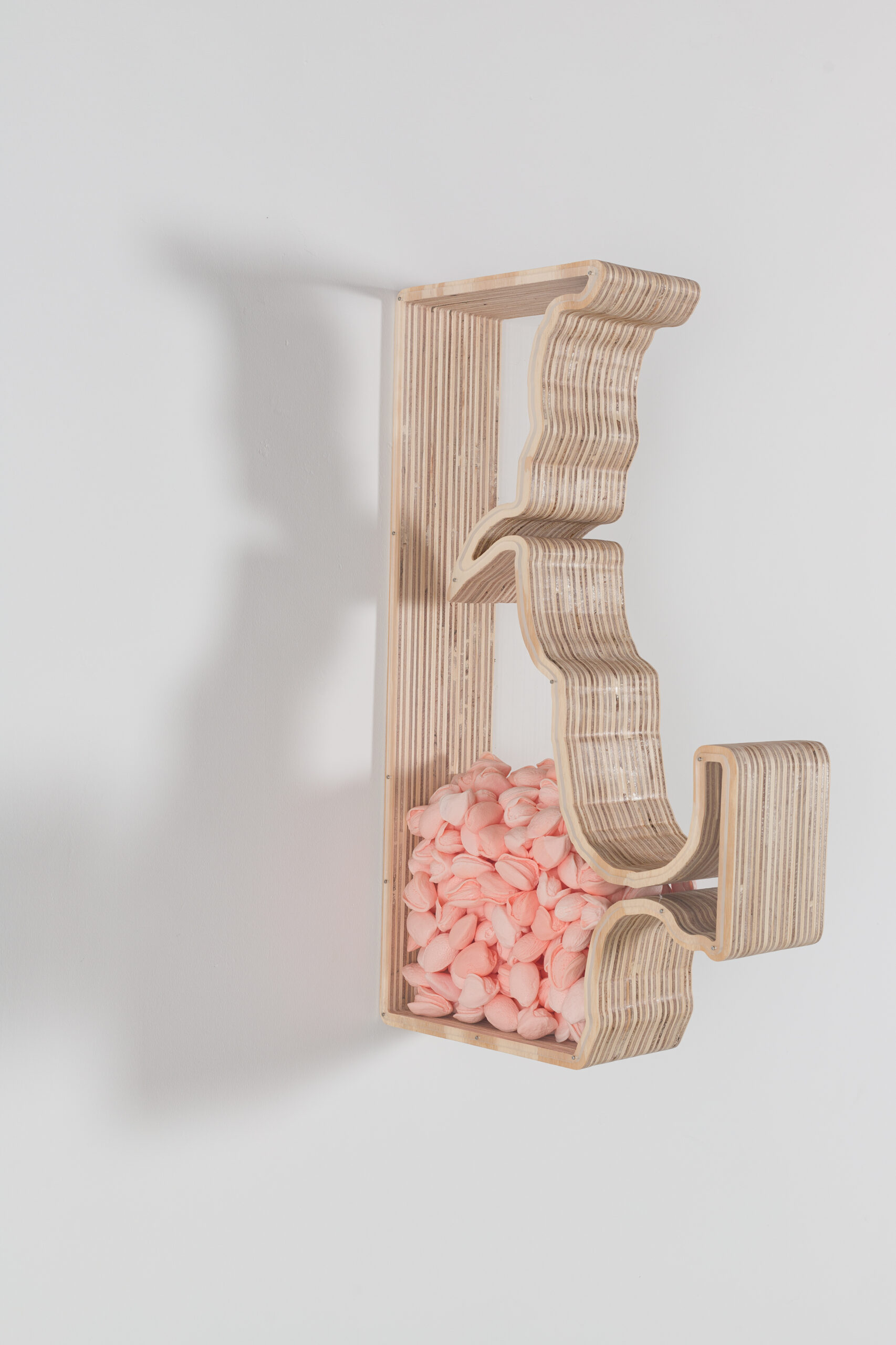 Birdfeeder #02PP