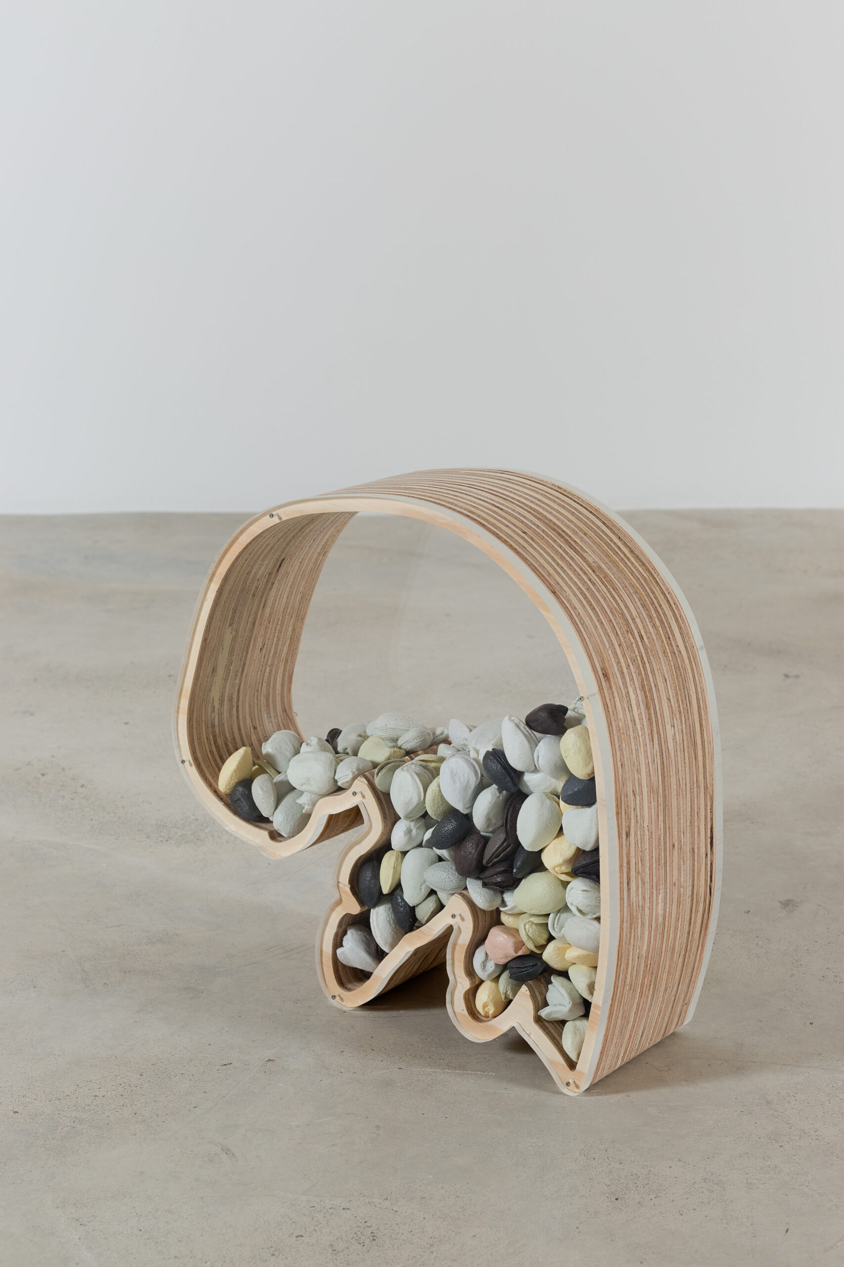 Birdfeeder #01MC